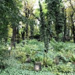 Cementerio cubierto de vegetación