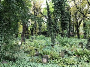 Cementerio cubierto de vegetación
